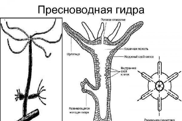 Аналог гидры