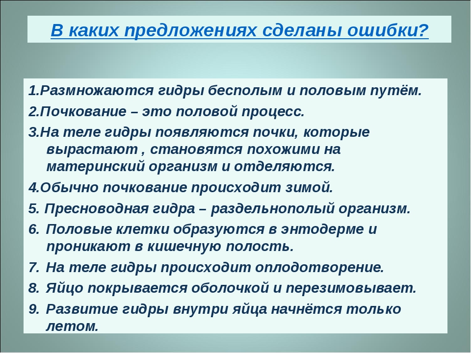 Kraken вход и ссылки